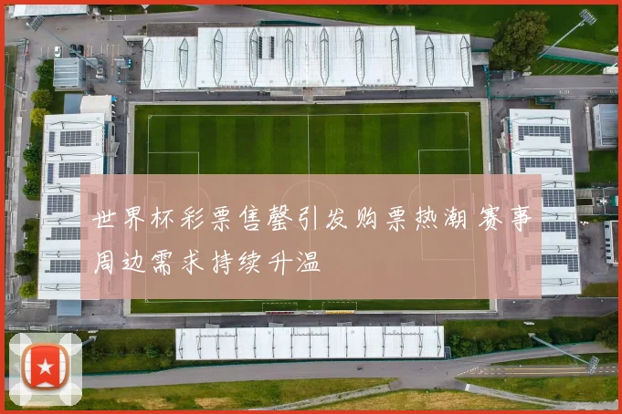 世界杯彩票售罄引发购票热潮 赛事周边需求持续升温