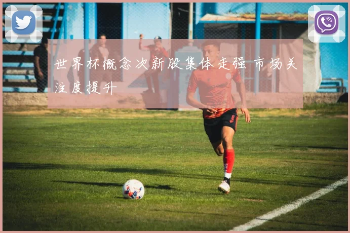 世界杯概念次新股集体走强 市场关注度提升