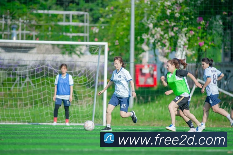 半岛在线官网平台生态图